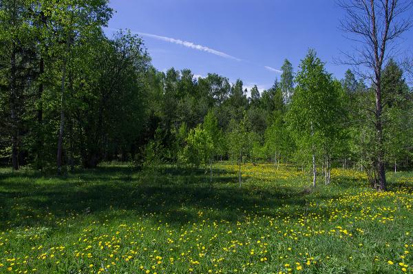 Прикрепленное изображение: IMGP9753.jpg