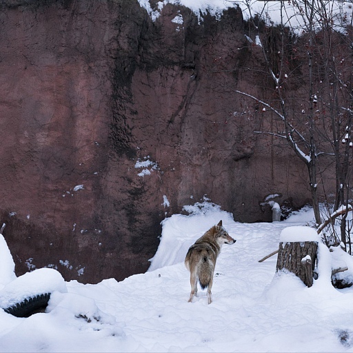 Прикрепленное изображение: w_DSC6723.jpg