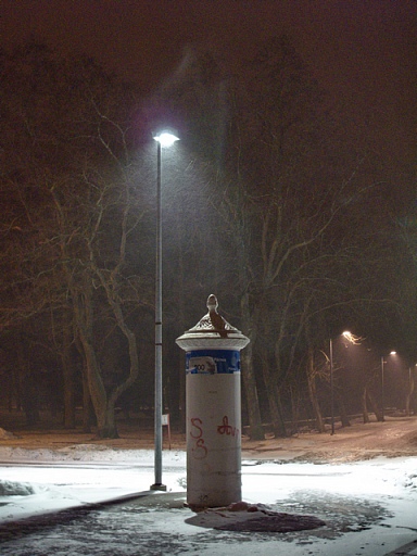Прикрепленное изображение: Ночь Улица Фонарь-ASD25-2.jpg