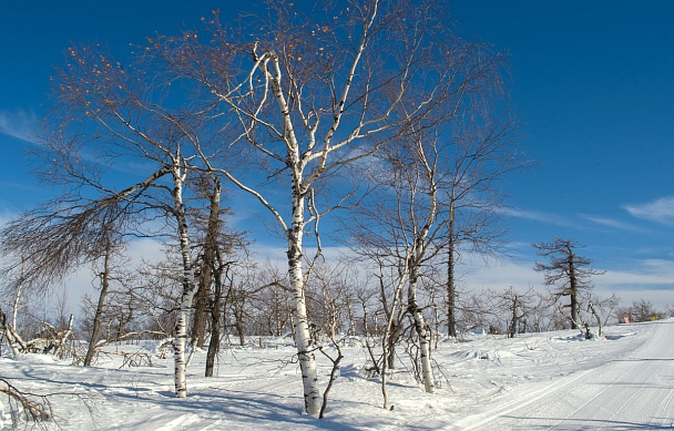 Прикрепленное изображение: 2-IMGP5338.jpg