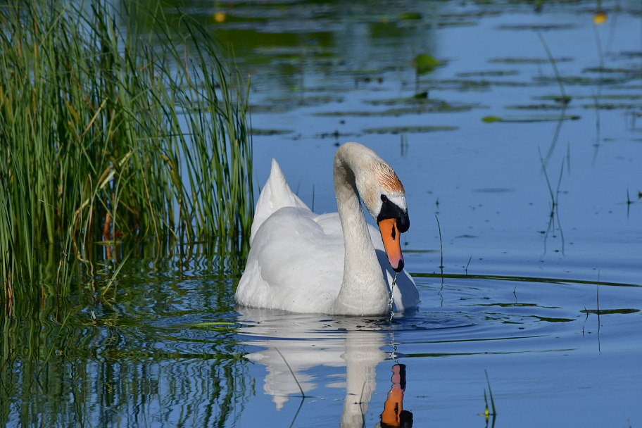 Прикрепленное изображение: DSC_5646.jpg