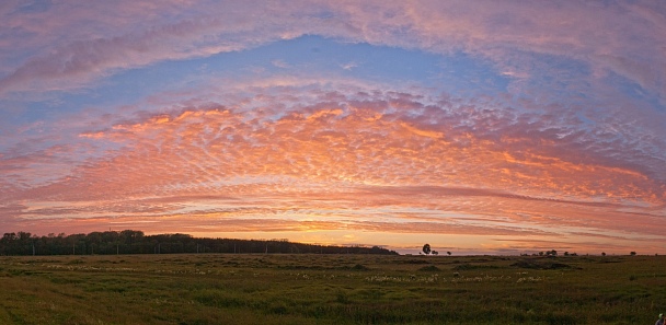 Прикрепленное изображение: SG1S1535-v Panorama.jpg