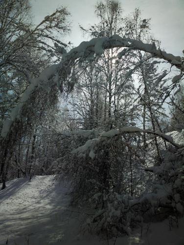 Прикрепленное изображение: 2013-03-19-0316.jpg