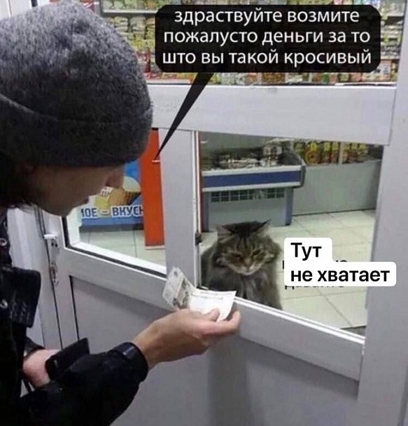 Прикрепленное изображение: Кот.jpg